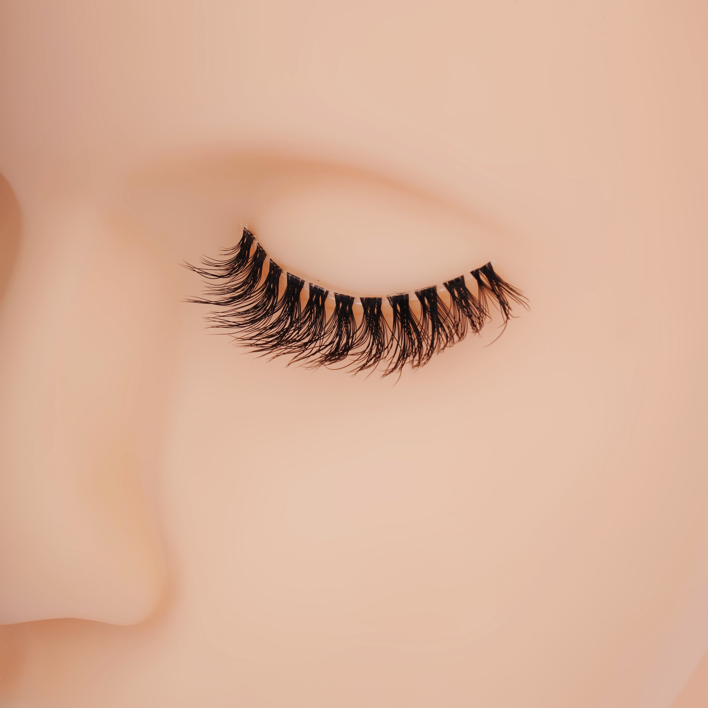 Featherlight D-10 Transparent Band Mink Eyelashes – 10 Pair Multipack | Glamorous Tapered Wispy False Lashes with Invisible Clear Band
